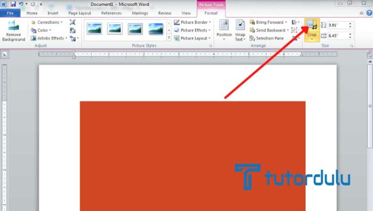 Tutorial 4 Cara Memotong Gambar Microsoft Word 5293