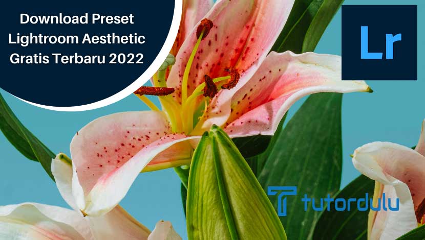 Download Preset Lightroom Aesthetic Gratis Terbaru 2023