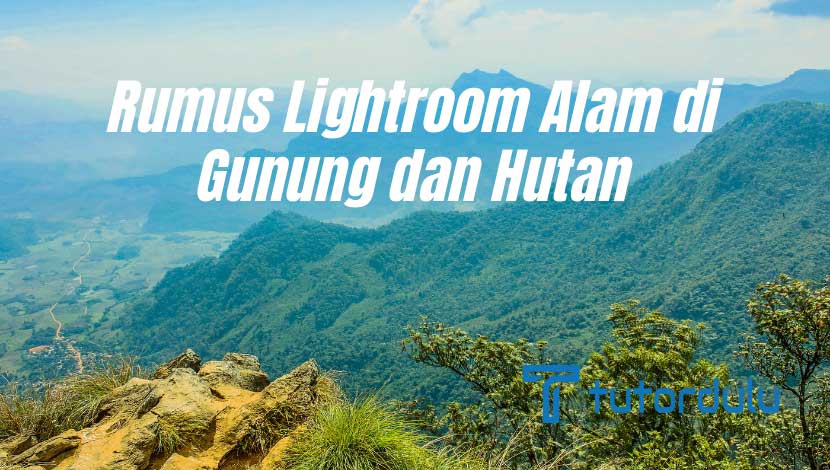 Rumus Lightroom Alam di Gunung dan Hutan